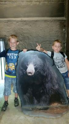 Foto des Albums: Leipziger Zoo