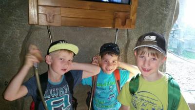 Foto des Albums: Leipziger Zoo
