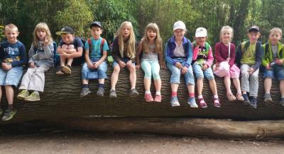Foto des Albums: Leipziger Zoo