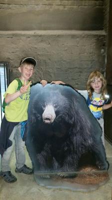 Foto des Albums: Leipziger Zoo