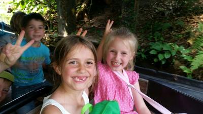 Foto des Albums: Leipziger Zoo