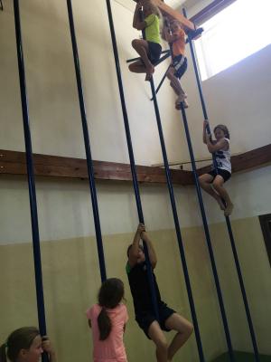 Foto des Albums: Bewegungsfreundliche Schule