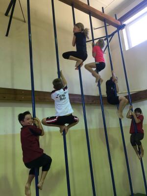 Foto des Albums: Bewegungsfreundliche Schule