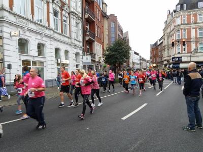 Foto des Albums: Die AFG beim Elmshorner Stadtlauf