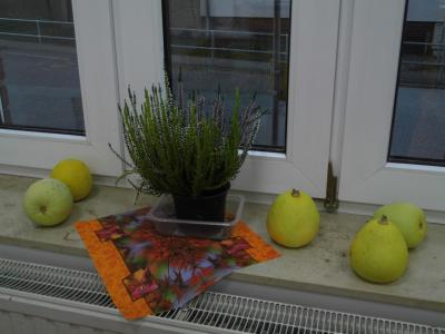 Foto des Albums: Herbstzeit