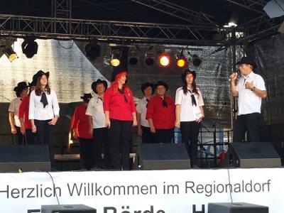 Foto des Albums: Sachsen-Anhalt-Tag 2016