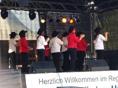 Foto des Albums: Sachsen-Anhalt-Tag 2016