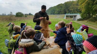 Foto des Albums: Wandertag Klasse 1a