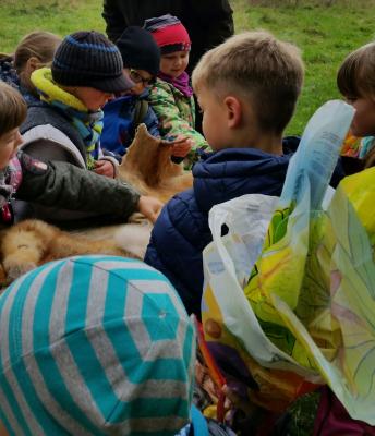 Foto des Albums: Wandertag Klasse 1a