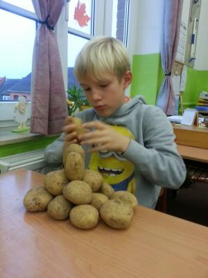 Foto des Albums: Kartoffelprojekt Klasse 4a