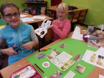 Foto des Albums: Kartoffelprojekt Klasse 4a