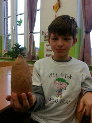 Foto des Albums: Kartoffelprojekt Klasse 4a