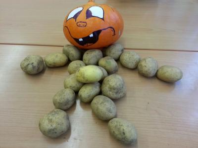 Foto des Albums: Kartoffelprojekt Klasse 4a