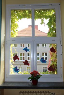 Foto des Albums: Herbst 2016