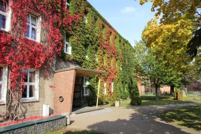 Foto des Albums: Herbst 2016