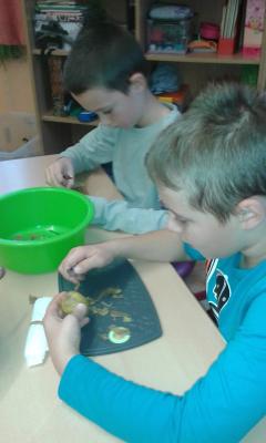 Foto des Albums: Kartoffelprojekt Klasse 3a