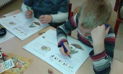 Foto des Albums: Kartoffelprojekt Klasse 3a