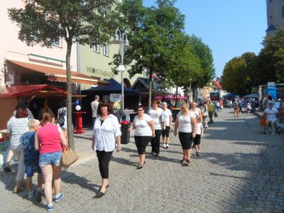 Foto des Albums: Sachsen-Anhalt-Tag in Sangerhausen (11. 09. 2016)