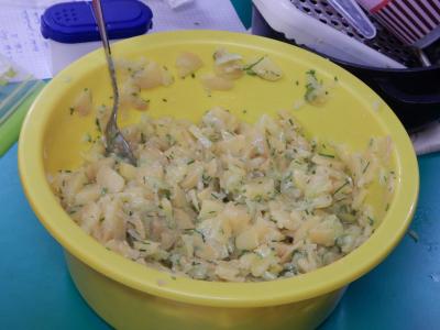 Foto des Albums: Kartoffelprojekt Klasse 3b