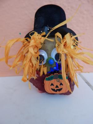 Foto des Albums: Kartoffelprojekt Klasse 3b