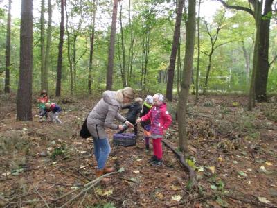 Foto des Albums: Thementage "Herbst" FLEX B