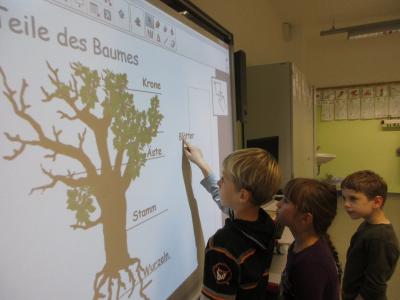 Foto des Albums: Thementage "Herbst" FLEX B