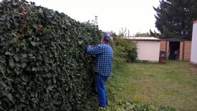 Foto des Albums: Arbeitseinsatz