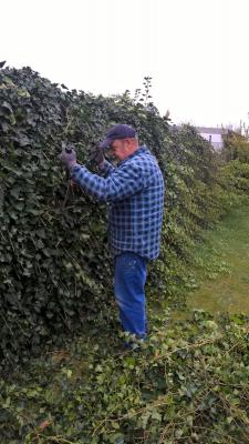 Foto des Albums: Arbeitseinsatz