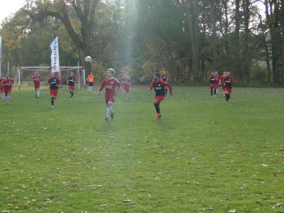 Foto des Albums: Häsener SV - FC 98 Hennigsdorf II