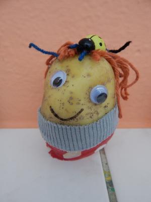 Foto des Albums: Kartoffelmännchen Klasse 3