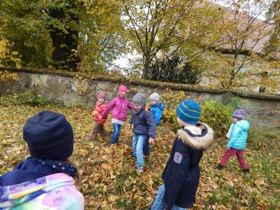 Foto des Albums: Der Herbst in der Klasse 1