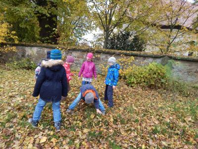 Foto des Albums: Der Herbst in der Klasse 1