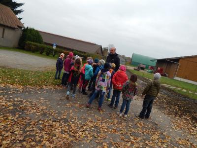 Foto des Albums: Der Herbst in der Klasse 1