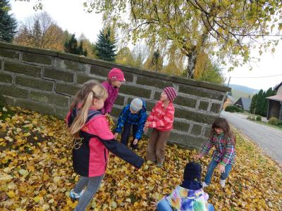Foto des Albums: Der Herbst in der Klasse 1
