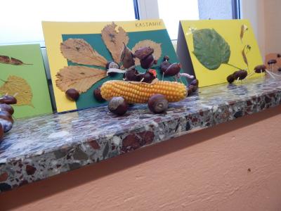 Foto des Albums: Der Herbst in der Klasse 1