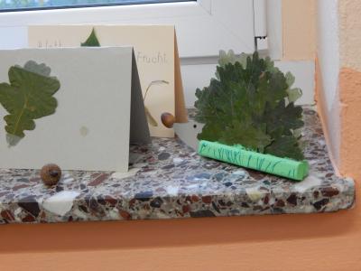 Foto des Albums: Der Herbst in der Klasse 1