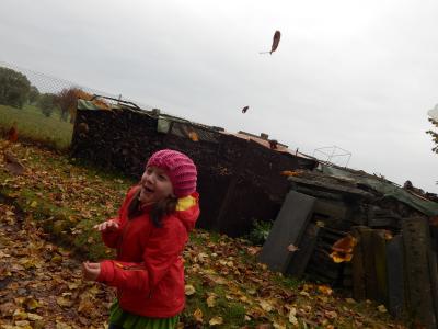Foto des Albums: Der Herbst in der Klasse 1