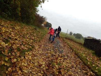 Foto des Albums: Der Herbst in der Klasse 1