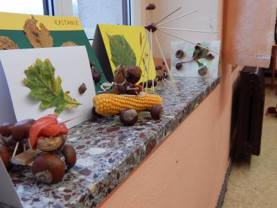 Foto des Albums: Der Herbst in der Klasse 1