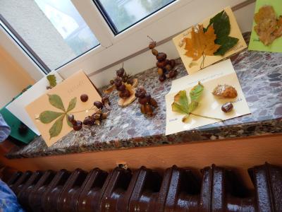 Foto des Albums: Der Herbst in der Klasse 1