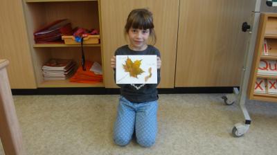 Foto des Albums: Der Herbst in der Klasse 1