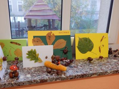 Foto des Albums: Der Herbst in der Klasse 1