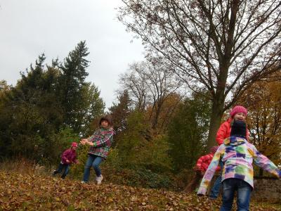 Foto des Albums: Der Herbst in der Klasse 1