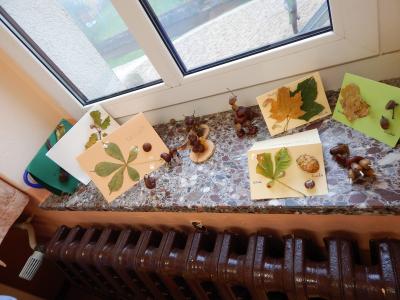 Foto des Albums: Der Herbst in der Klasse 1