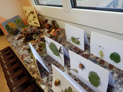 Foto des Albums: Der Herbst in der Klasse 1