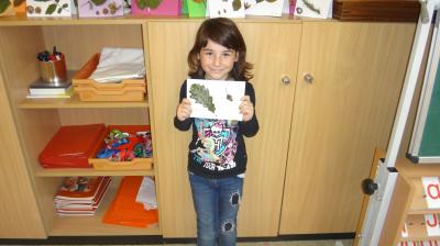 Foto des Albums: Der Herbst in der Klasse 1