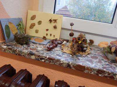 Foto des Albums: Der Herbst in der Klasse 1