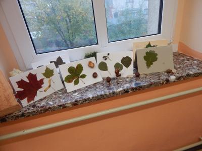 Foto des Albums: Der Herbst in der Klasse 1