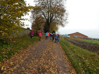 Foto des Albums: Der Herbst in der Klasse 1