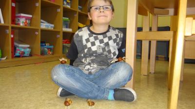 Foto des Albums: Der Herbst in der Klasse 1